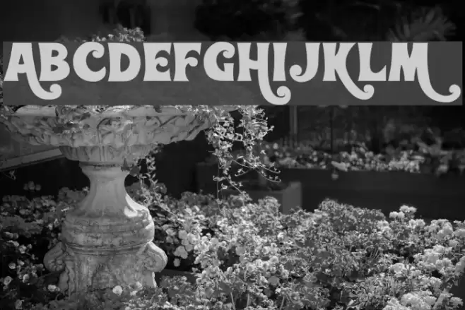 Wonderbar Font examples