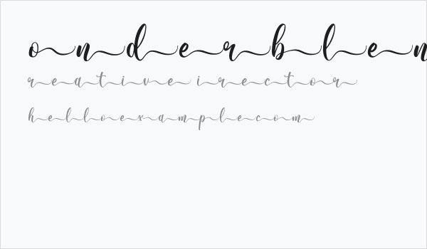 Wonderblend Back Demo Back Business Card