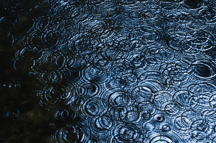 Wonderblend Front Demo Front Example 1