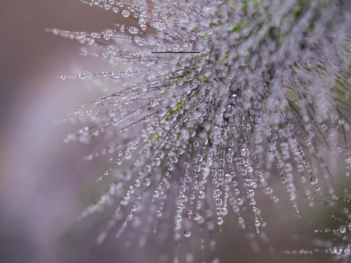 Wonderblend Front Demo Front Example 2