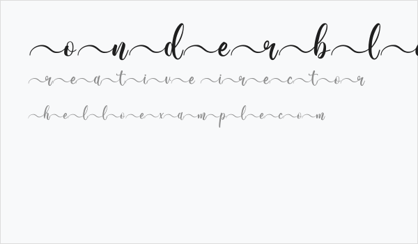 Wonderblend Front Demo Front Business Card