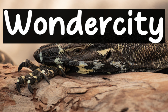 Wondercity Example 1