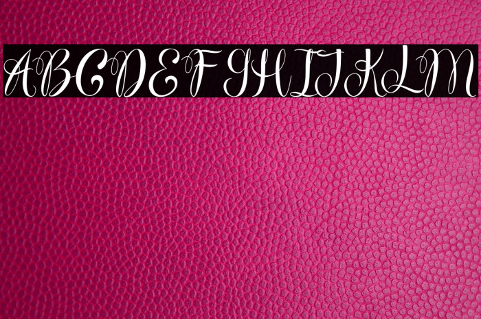 WonderfebiaFreePersonalUse Example 1