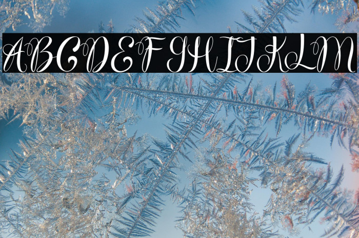 WonderfebiaFreePersonalUse Example 2