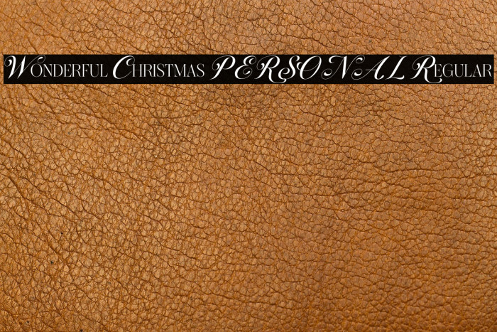 Wonderful Christmas PERSONAL Regular Example 1
