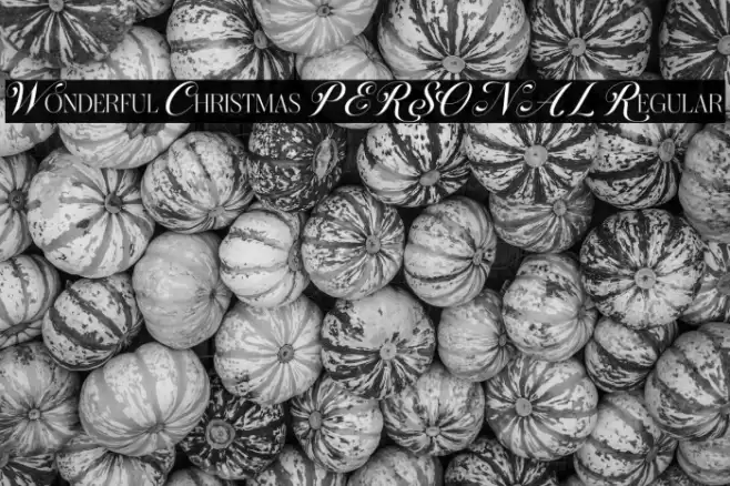 Wonderful Christmas PERSONAL Regular Font examples