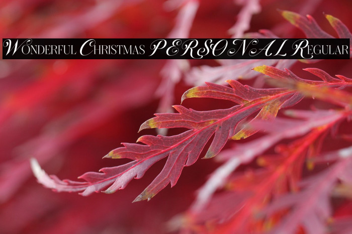 Wonderful Christmas PERSONAL Regular Example 3