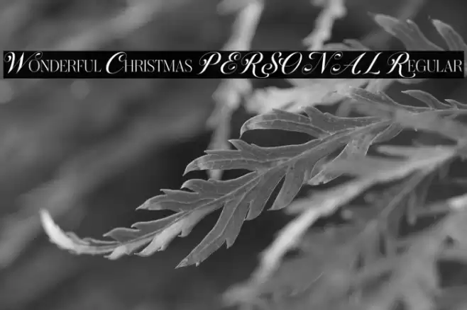 Wonderful Christmas PERSONAL Regular Font examples