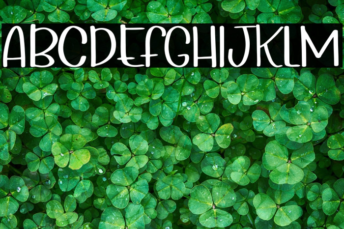 Wonderful Day Example 1