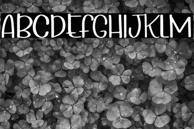 Wonderful Day Font examples