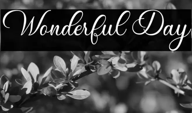 Wonderful Day Font examples