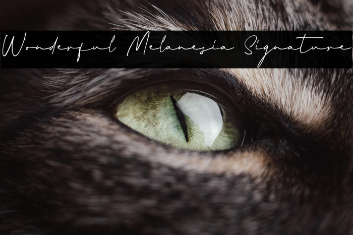 Wonderful Melanesia Signature Example 1