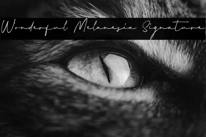 Wonderful Melanesia Signature Caratteri examples