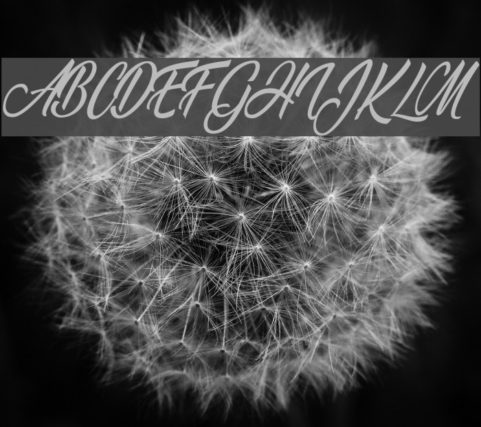 Wonderful Night Personal Use Regular Font examples