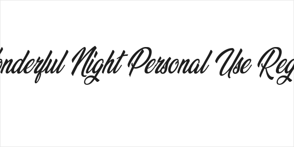Wonderful Night Personal Use Regular Logo