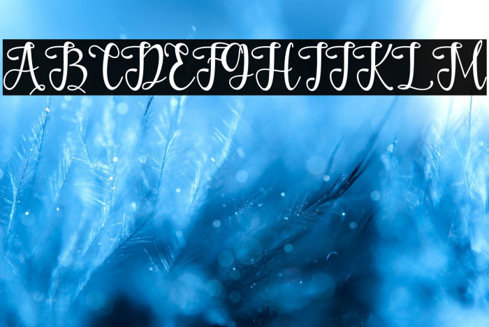 Wonderful Paradise Example 2