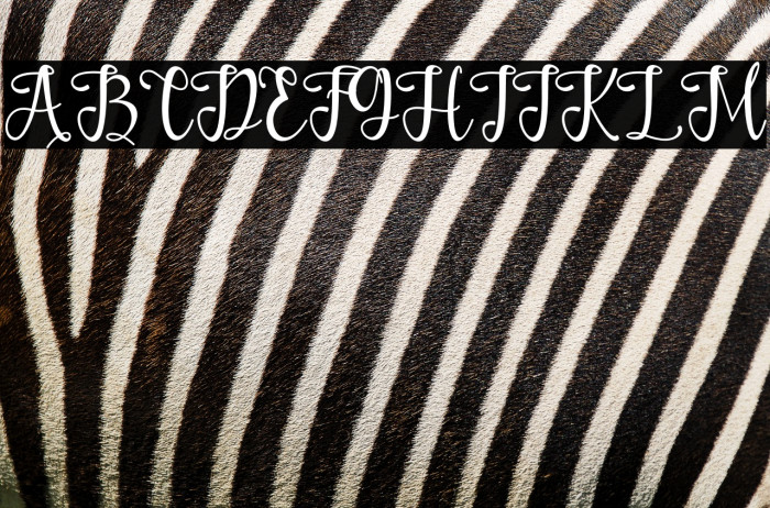 Wonderful Paradise Example 3