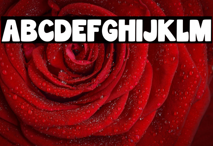 Wonderful Snowflake Regular Example 1