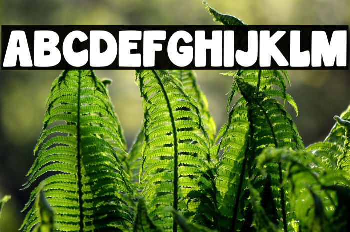 Wonderful Snowflake Regular Example 3