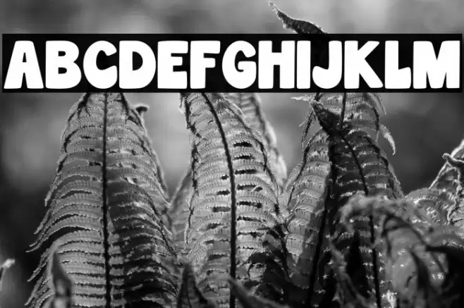 Wonderful Snowflake Regular Font examples