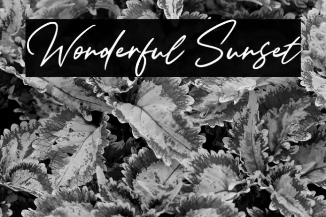 Wonderful Sunset Font examples