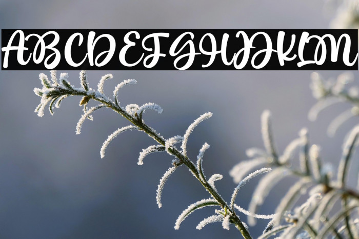 Wonderful Today Example 1