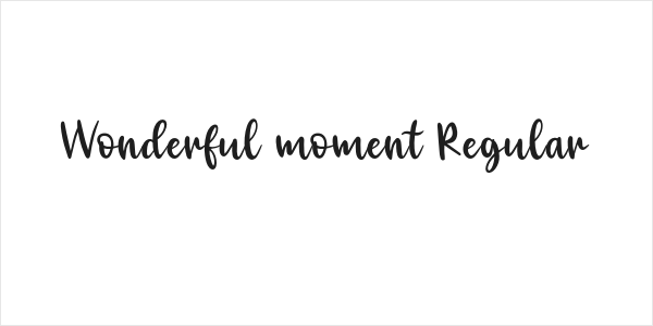 Wonderful moment Regular Logo