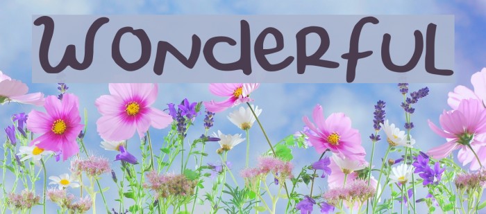 wonderful-font-ffonts