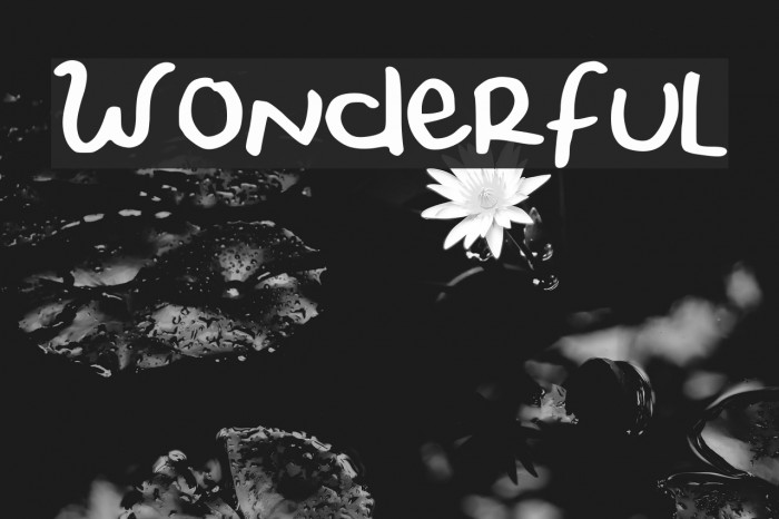 Wonderful Font examples