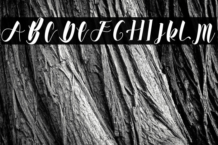 Wonderfull Bali Example 2