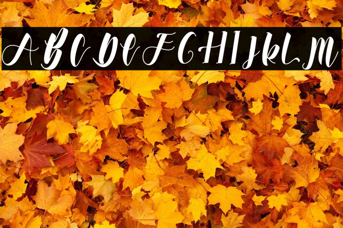 Wonderfull Bali Example 3