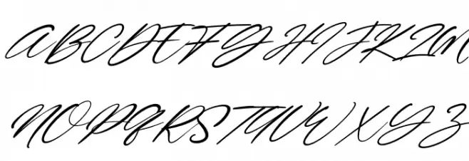 Wonderfull Italic 字体 大写