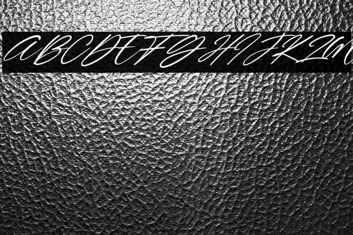 Wonderfull Italic Example 1