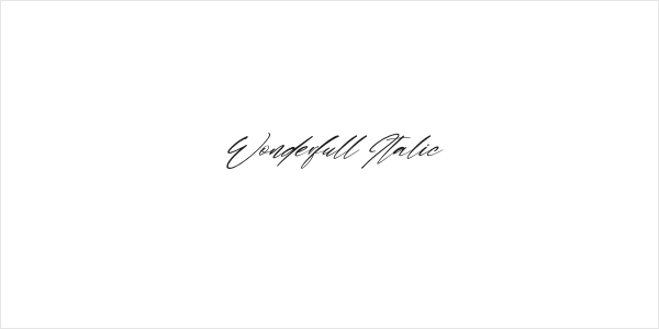Wonderfull Italic Logo