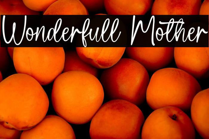 Wonderfull Mother Example 2