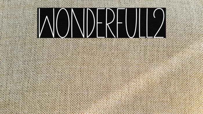 Wonderfull2 Example 2