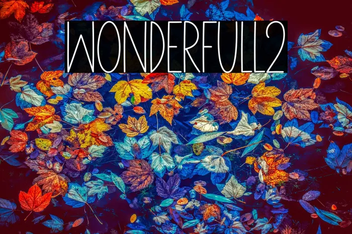 Wonderfull2 Example 3