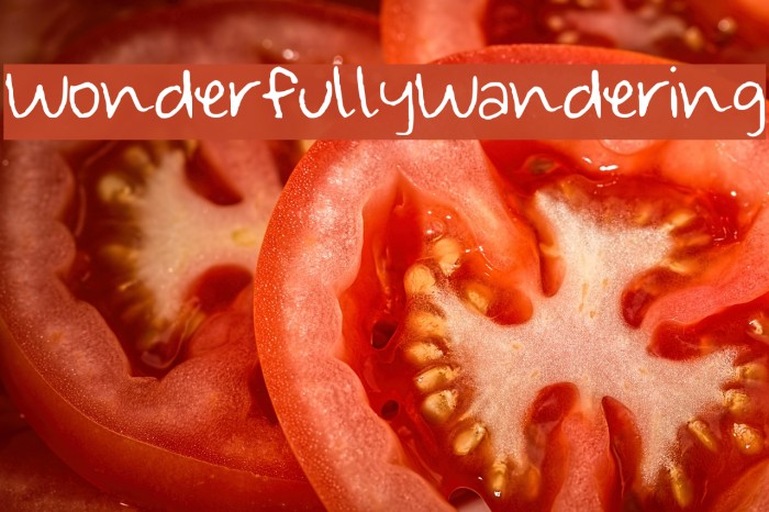 Wonderfully_Wandering Example 1