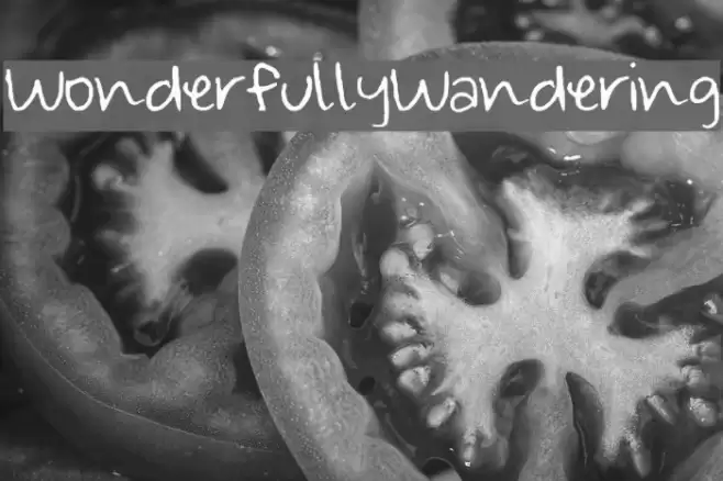 Wonderfully_Wandering Font examples