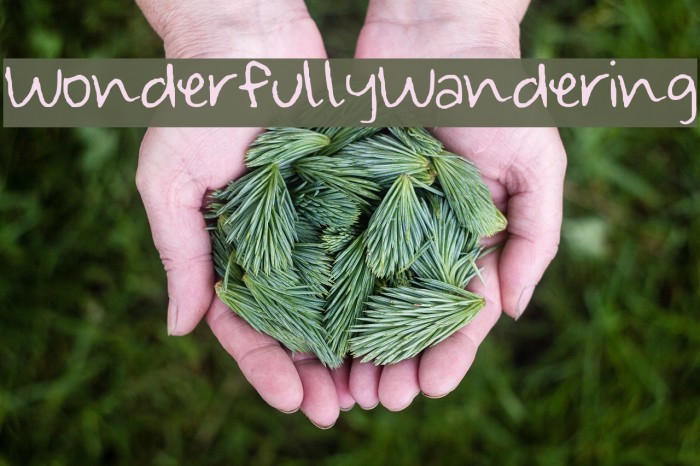 Wonderfully_Wandering Example 2