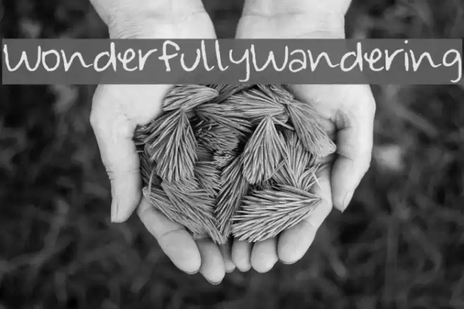 Wonderfully_Wandering Font examples