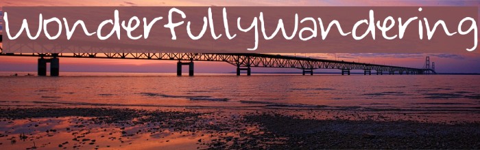 Wonderfully_Wandering Example 3