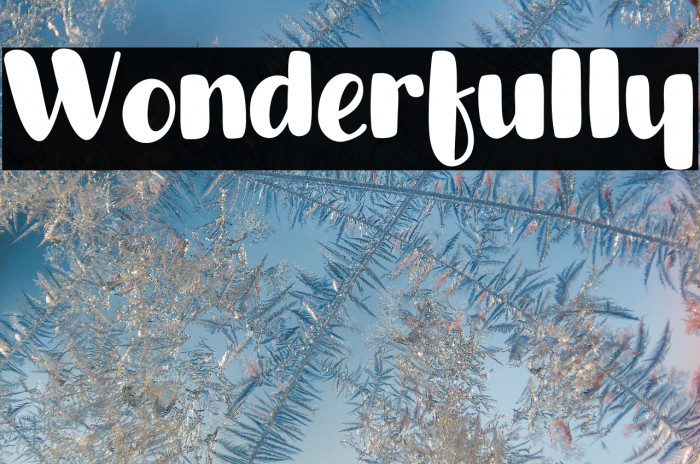 Wonderfully Example 1