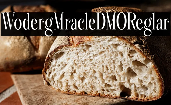 Wondering MiracleDEMO Regular Example 1
