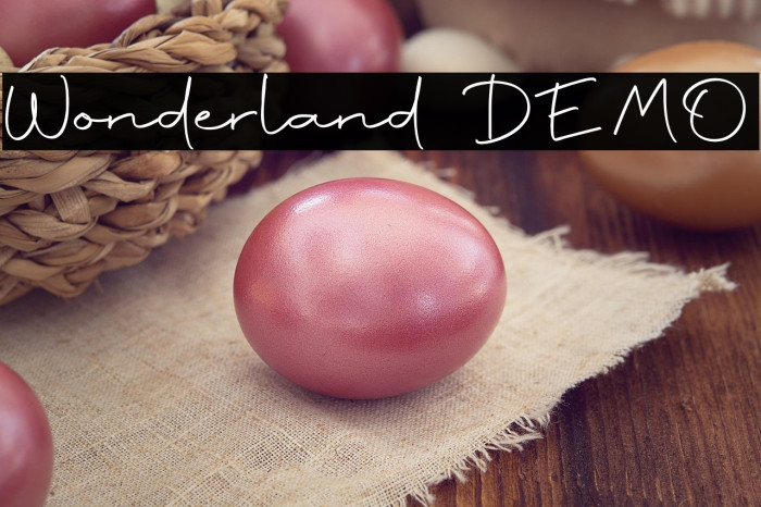 Wonderland DEMO Example 2