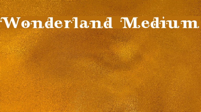 Wonderland Medium Example 3