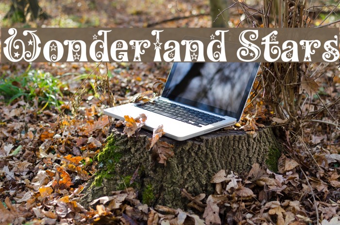 Wonderland Stars Font examples
