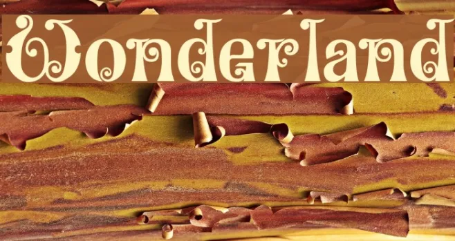 Wonderland Example 1