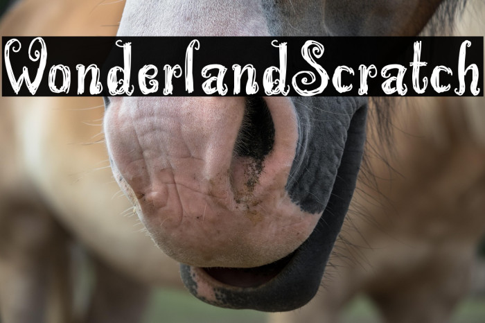 WonderlandScratch Example 2