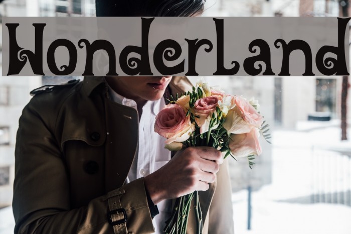 Wonderland Example 1
